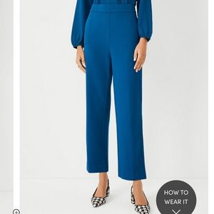 Ann Taylor NWT Pants